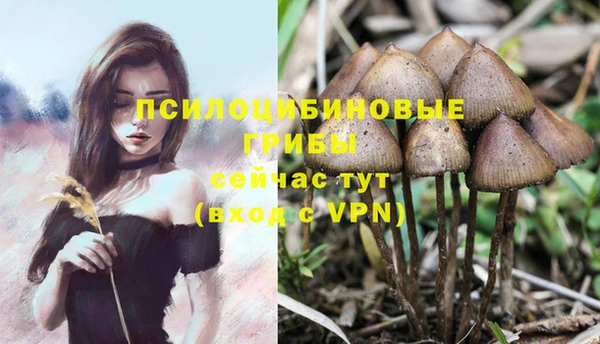 амф Краснослободск