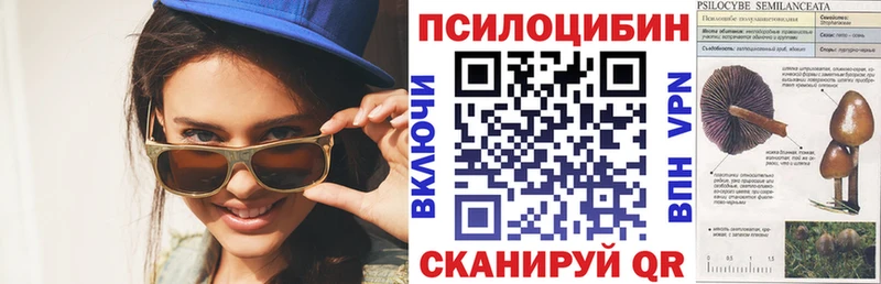 Галлюциногенные грибы Magic Shrooms  закладки  Сельцо 
